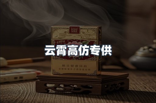 云霄高仿专供